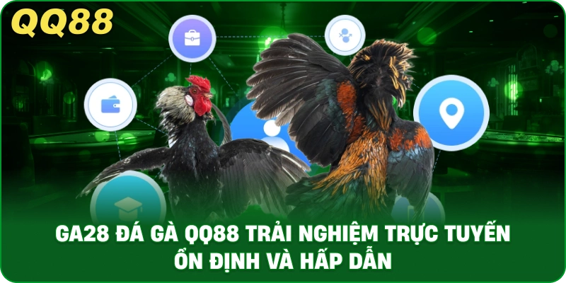 GA28 Đá Gà – Trải Nghiệm Sảnh Gà Trực Tiếp Ổn Định Tại QQ88