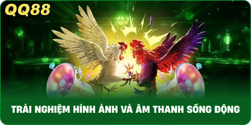 WS168 Đá Gà Là Gì Và Cơ Chế Hoạt Động